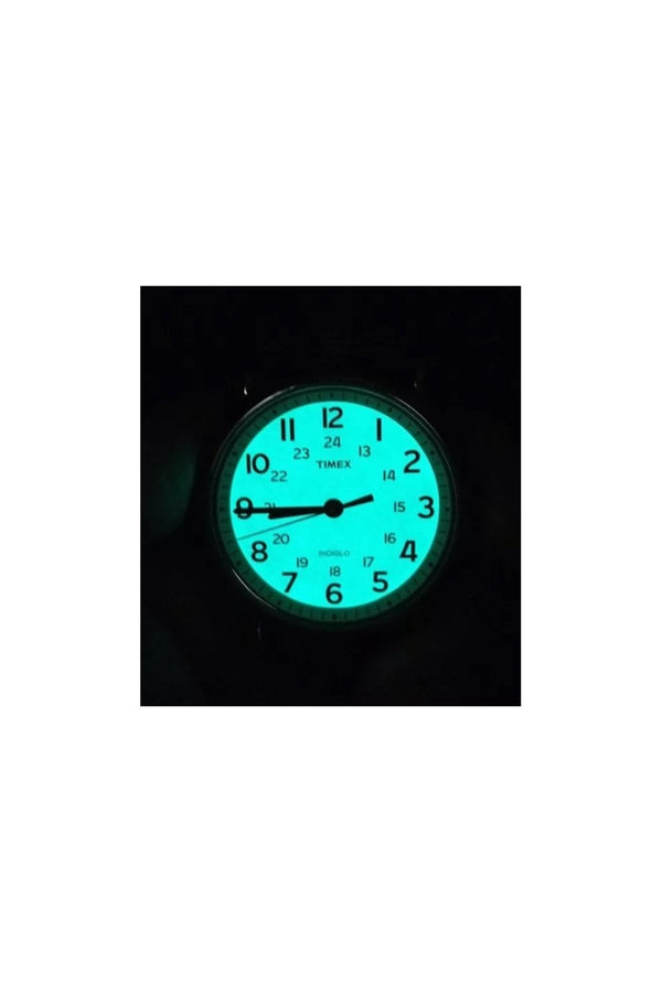 Timex Gents Easy Reader Weekender Indiglo 38mm Watch T2N654