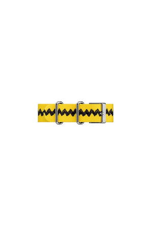 Timex Peanuts Charlie Brown Weekender Watch TW2R41100