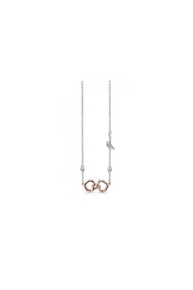 Guess Grace Two Tone Necklace UBN84027