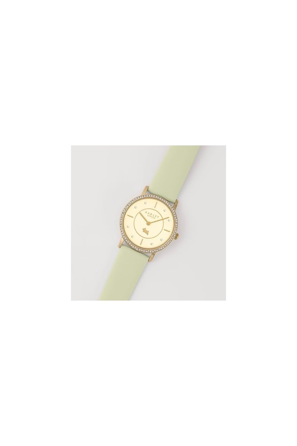 Radley Iconic Stoneset Watch And Earring Set RY21630A