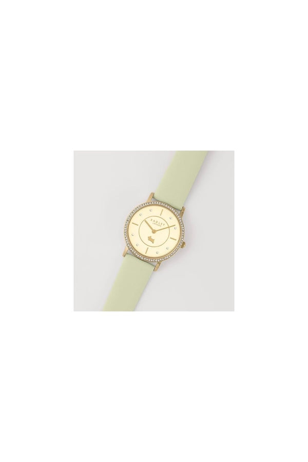 Radley Iconic Stoneset Watch And Earring Set RY21630A