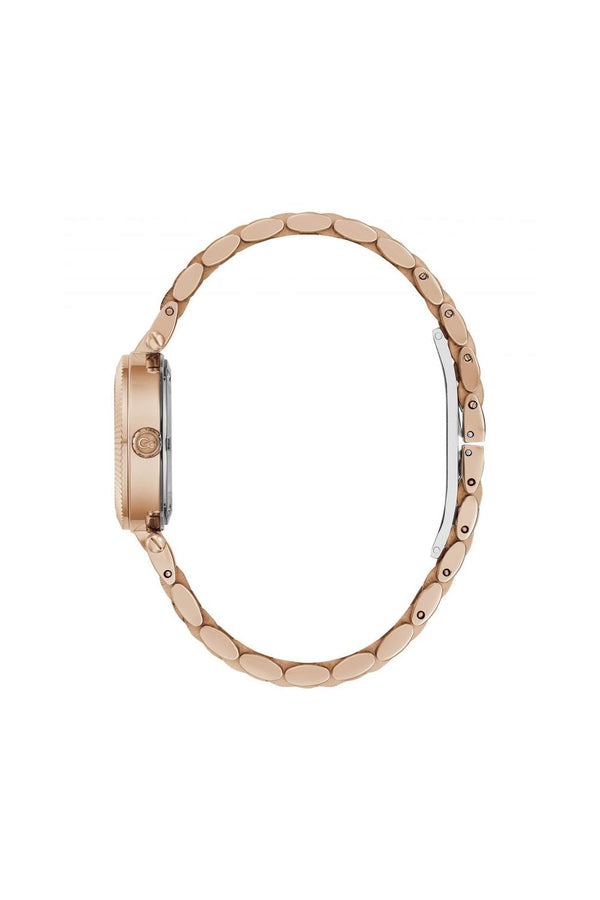 Gc Ladies Flair Crystal Watch Z02002L1MF
