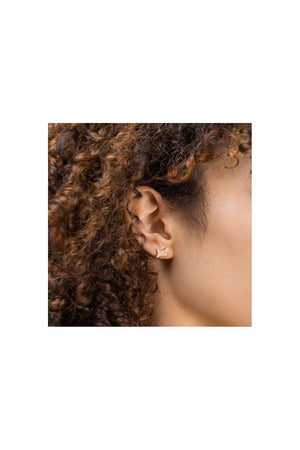 Radley Clear Stone Fireball Studs & Rose Gold Jumping Dog Twin Pack RYJ1314S