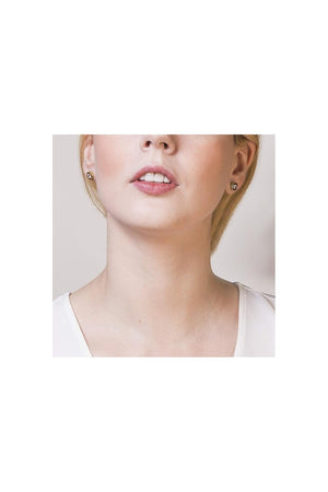 Radley Ladies Cubic Zirconia 18ct Plated Stud Earrings RYJ1032