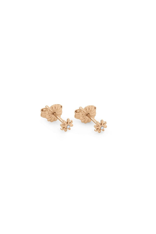 Radley Baylis Road Ladies 18ct Triple Pack Earring Set RYJ1306