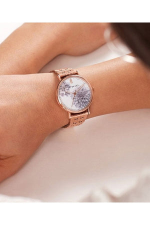 Ted Baker Phylipa Ladies 37mm Watch BKPPHS120