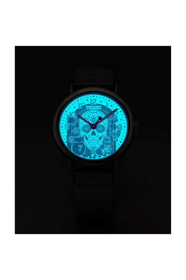 Timex Gents Weekender Day of the Dead 40mm Leather Strap Watch TW2Y15900