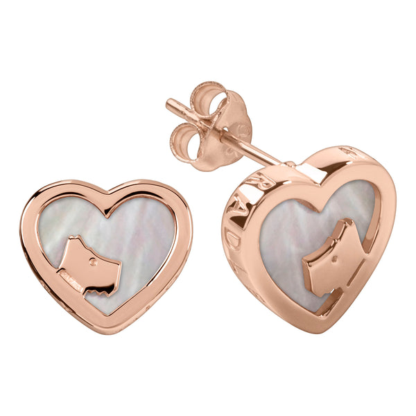 Radley Ladies  Earrings Primary View