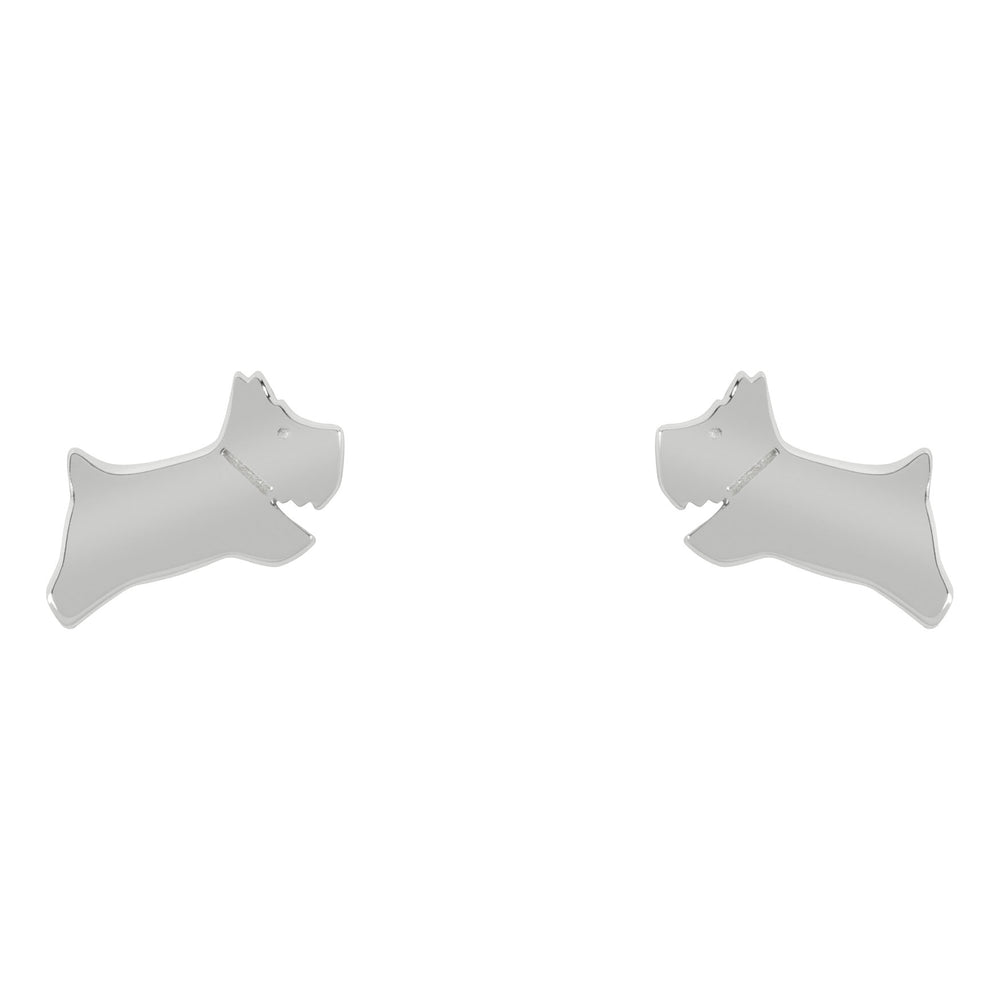 Radley Ladies  Earrings Primary View