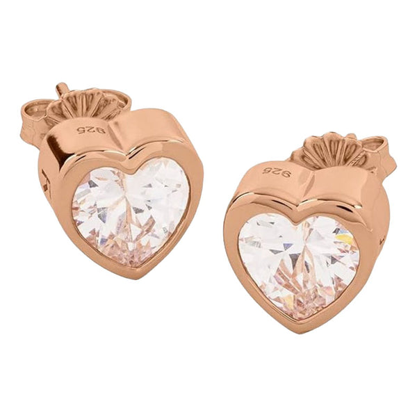 Radley   Earrings Primary View