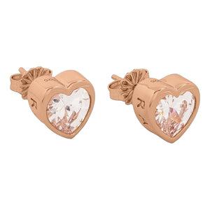 Radley   Earrings Secondary View