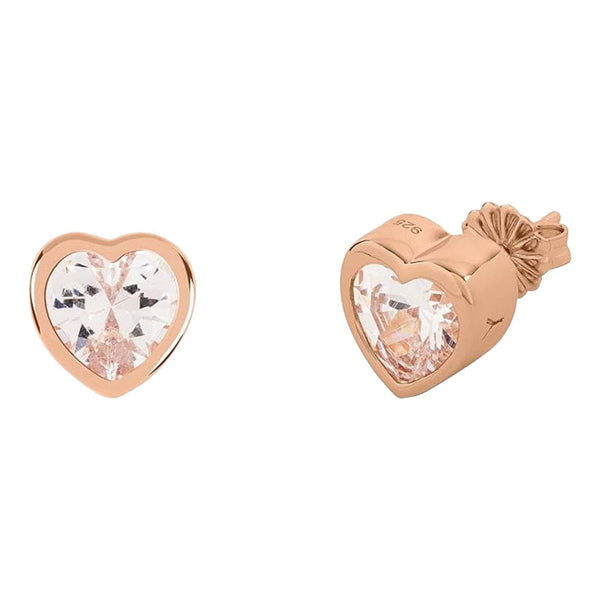 Radley Ladies  Earrings Additional View