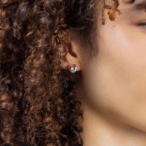 Radley Ladies Earrings Additional View