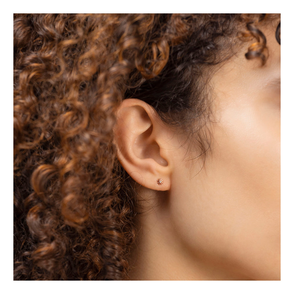 Radley Ladies Earrings Primary View