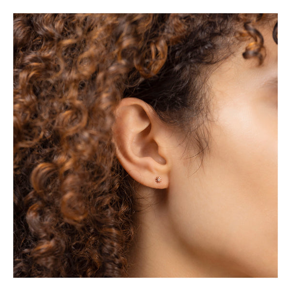 Radley Ladies Earrings Secondary View