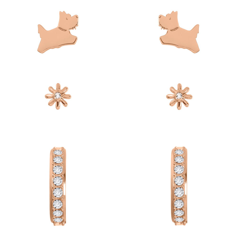 Radley Ladies Earrings Primary View