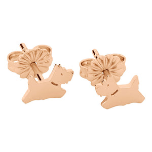 Radley Ladies Earrings Additional View