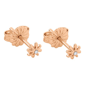 Radley  mm Case Thickness Earrings Additional View