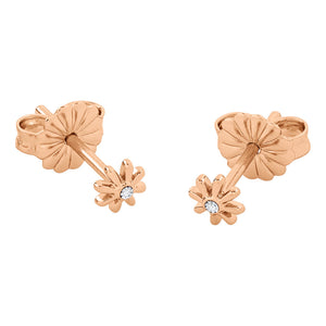 Radley   Earrings Additional View
