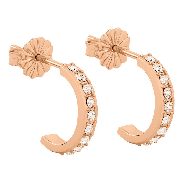 Radley Ladies Earrings Additional View