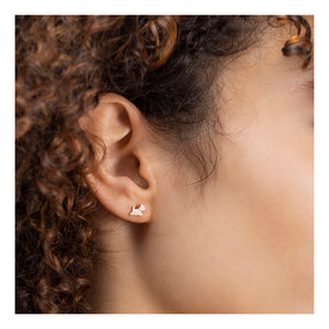 Radley Ladies Earrings Additional View