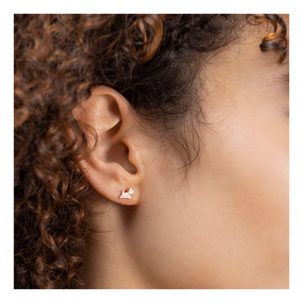 Radley Ladies Earrings Additional View