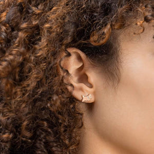 Radley Ladies Earrings Additional View