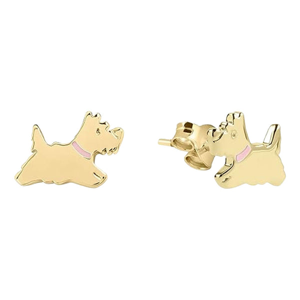 Radley Ladies Earrings Secondary View