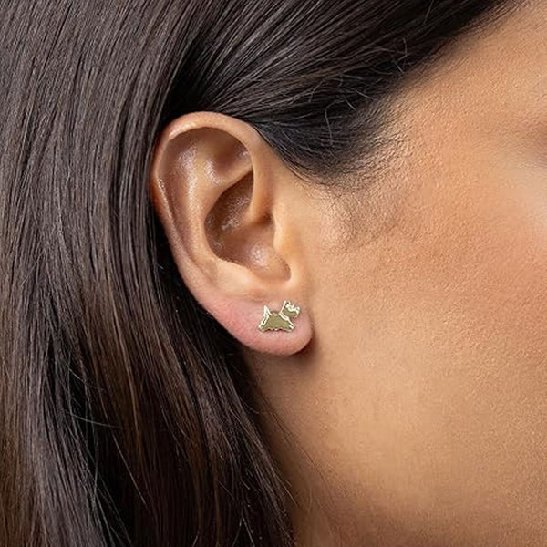 Radley Ladies  Earrings Additional View