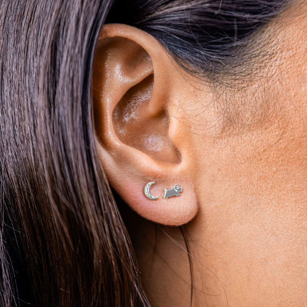 Radley Ladies  Earrings Primary View