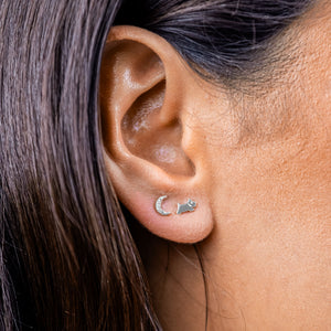Radley Ladies  Earrings Secondary View