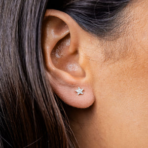 Radley Ladies  Earrings Additional View