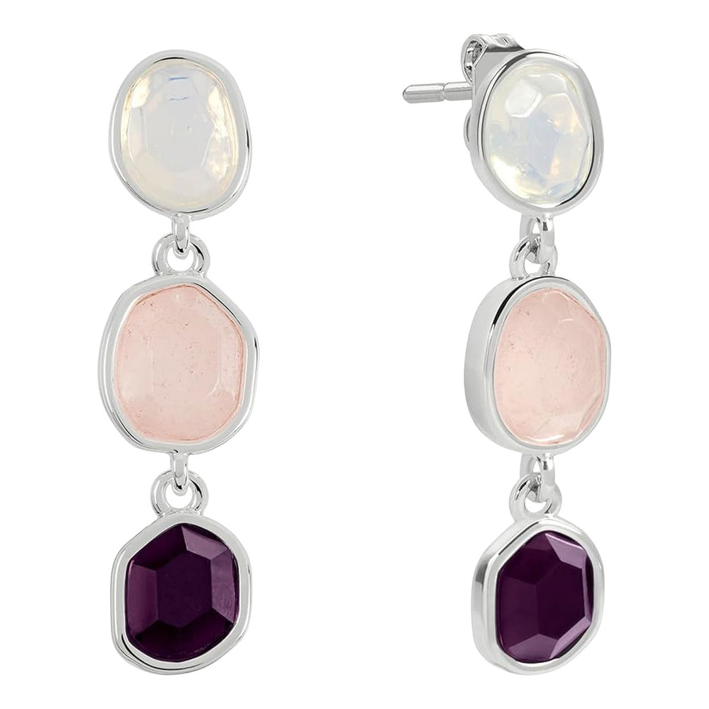 Radley Ladies Earrings Primary View