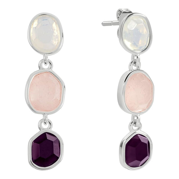 Radley Ladies Earrings Primary View