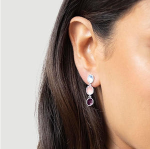 Radley Ladies  Earrings Additional View
