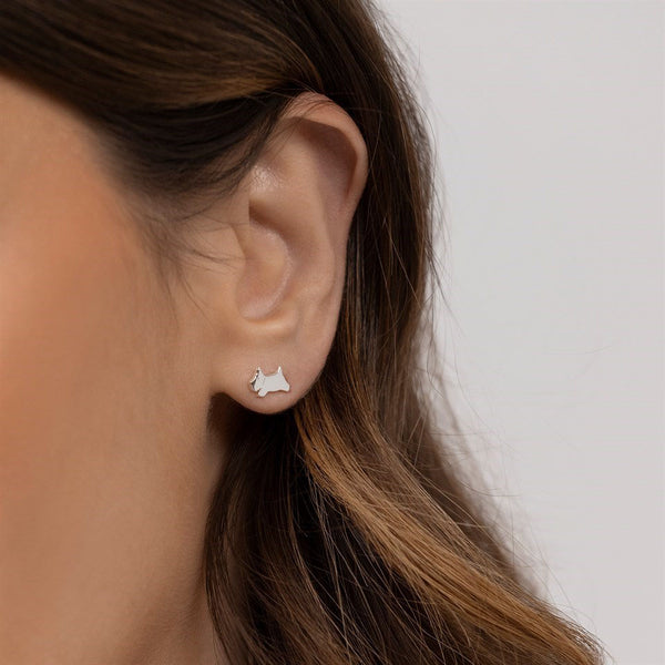 Radley Ladies Earrings Additional View