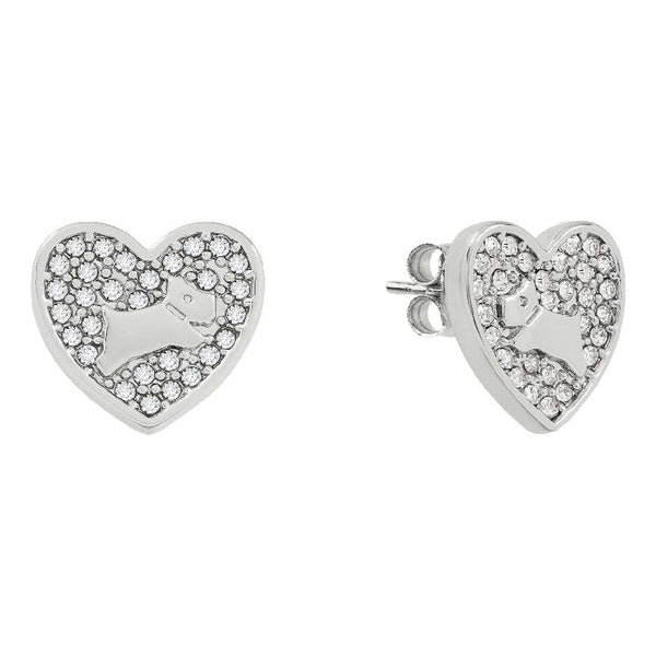 Radley   Earrings Primary View