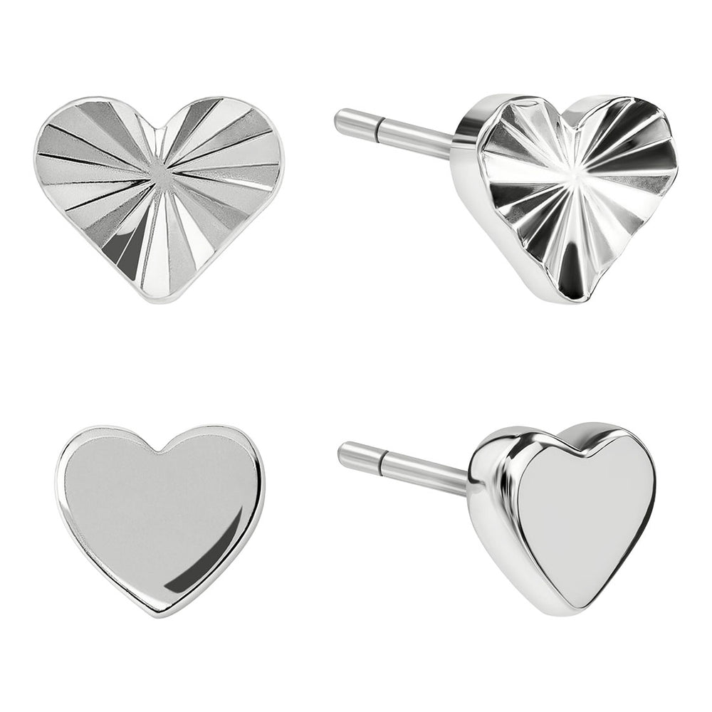 Radley Ladies  Earrings Primary View