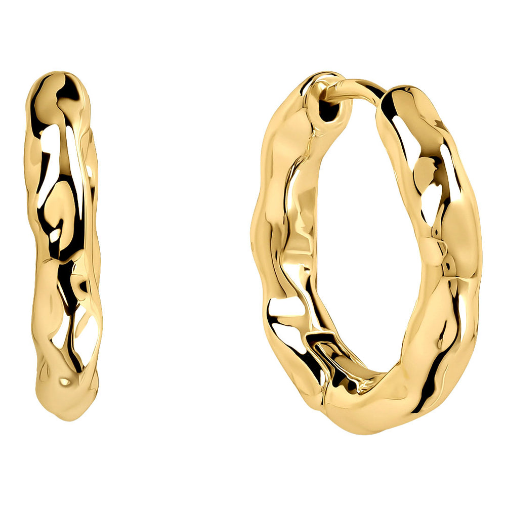 Radley Ladies Earrings Primary View