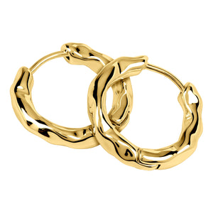 Radley Ladies  Earrings Secondary View