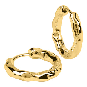 Radley Ladies  Earrings Additional View