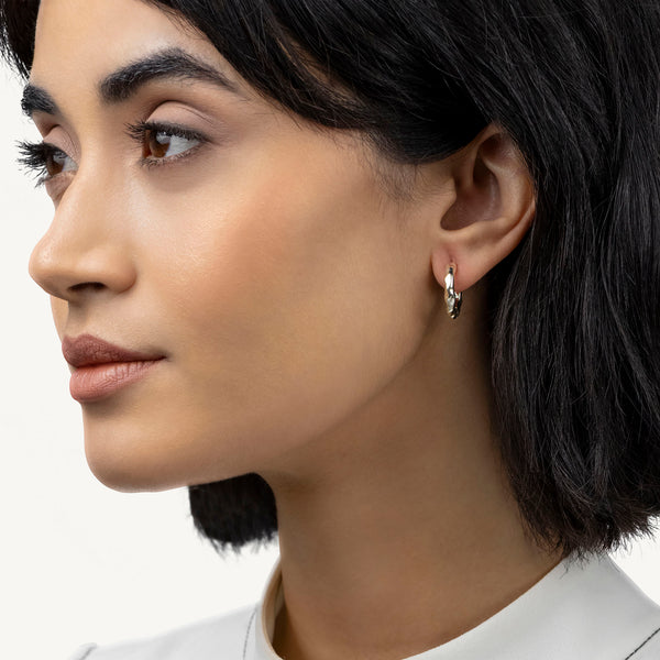Radley Ladies  Earrings Additional View