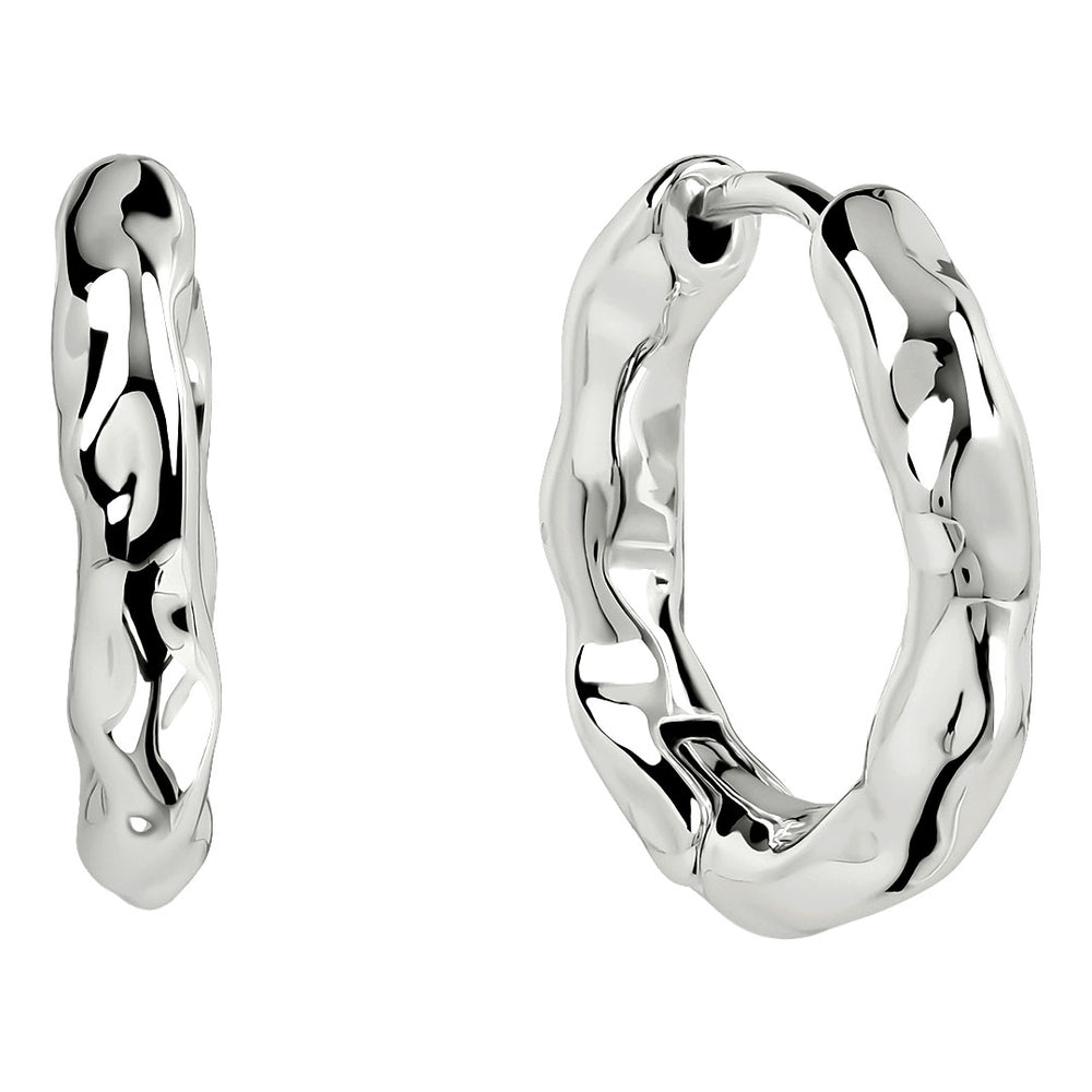 Radley Ladies  Earrings Primary View