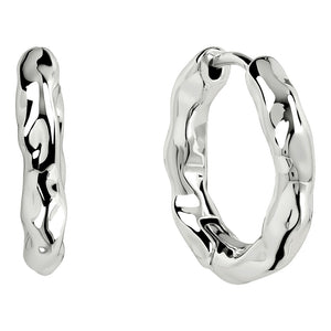 Radley Ladies  Earrings Primary View