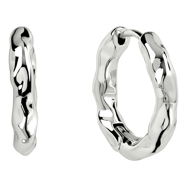 Radley Ladies  Earrings Primary View