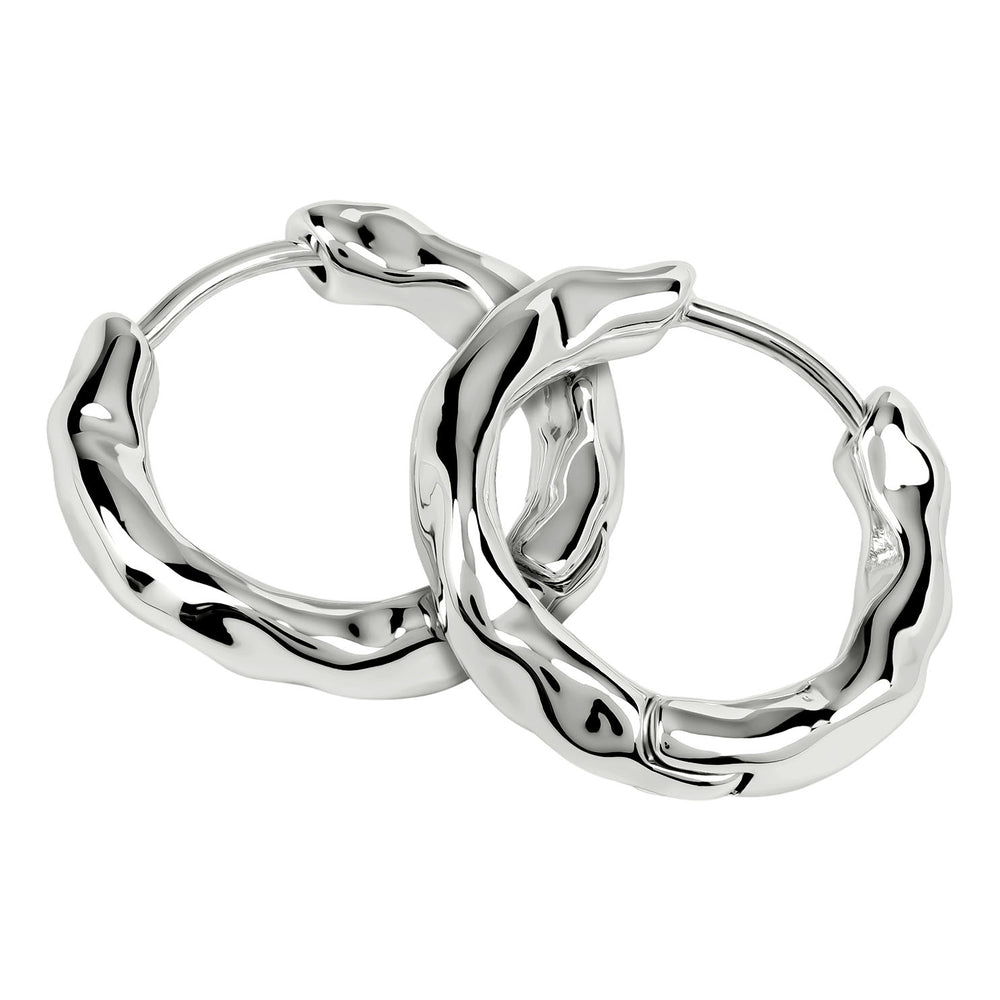 Radley Ladies  Earrings Primary View