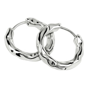 Radley Ladies  Earrings Secondary View