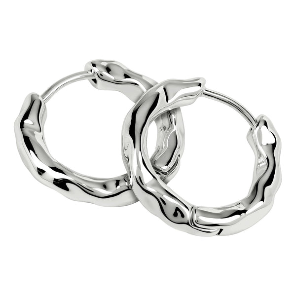 Radley Ladies  Earrings Secondary View
