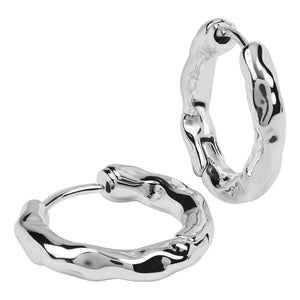 Radley Ladies  Earrings Additional View