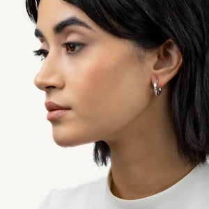 Radley Ladies  Earrings Additional View